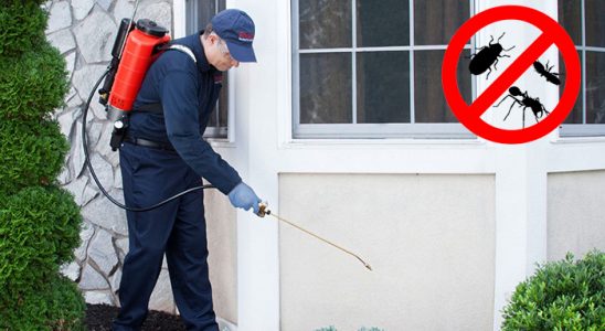Çukurca Tahtakurusu İlaçlama böcek ilaçlama ve haşere kontrolü — ilaclama-tr.com